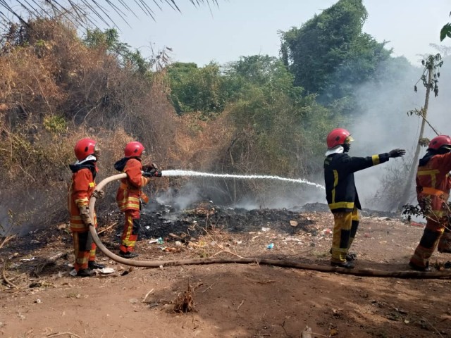 INCENDIE : LA FORET SACREE DE BAOULEKRO A NOUVEAU SOUS LES FLAMMES