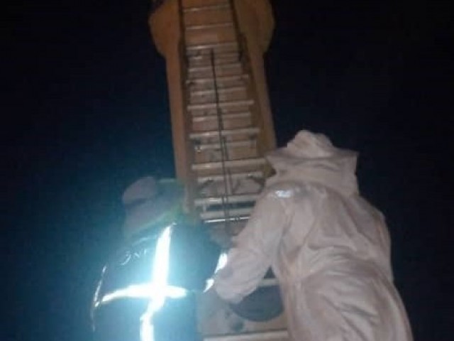 ODIENNE/BOUNDIALI : UN ESSAIM D’ABEILLES ET UN SERPENT RENVOYES DANS LEUR MILIEU NATUREL PAR LES POMPIERS CIVILS