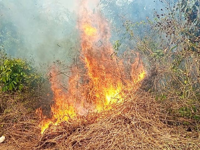 UN INCENDIE ET UN ACCIDENT DE LA CIRCULATION METTENT EN ALERTE LES POMPIERS CIVILS A GAGNOA