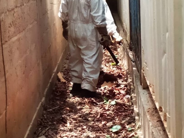 LES POMPIERS CIVILS DELOGENT DES ABEILLES DANS UNE USINE A DIMBOKRO