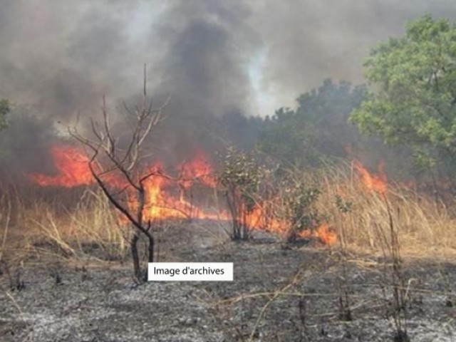 UN CIMETIÈRE ENTIÈREMENT CONSUMÉ PAR UN FEU DANS LE GÔH