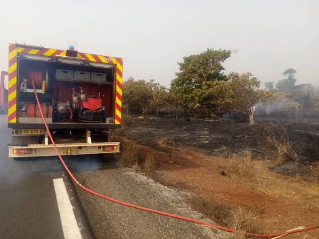 KATIOLA : CINQ (05) HECTARES D’ANACARDE EMBRASÉS PAR UN FEU DE BROUSSE