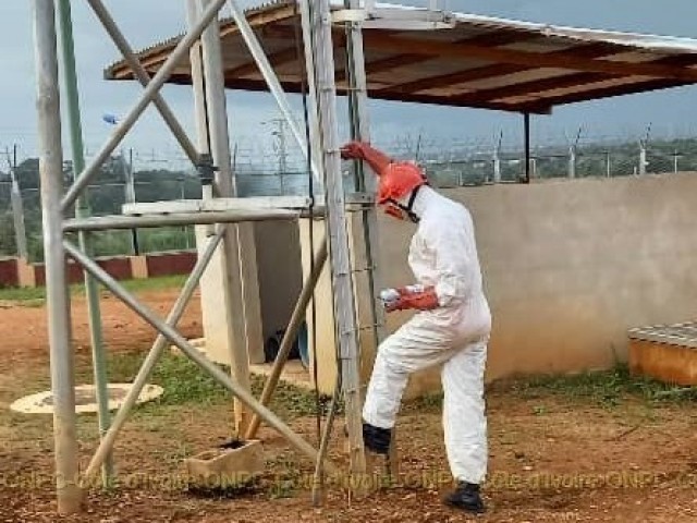LES POMPIERS CIVILS DU BAFING DELOGENT UN NID D’ABEILLE