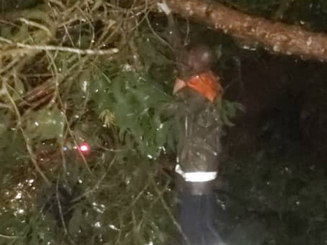 SAISON DES PLUIES : LES POMPIERS CIVILS DES GRANDS-PONTS LIBERENT UNE VOIE OBSTRUEE PAR UN ARBRE A DABOU