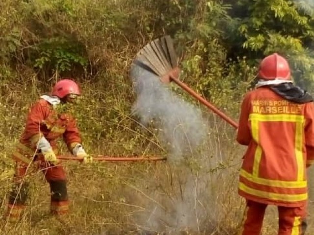 PLUSIEURS HECTARES D’IGNAMES DETRUITS A DAOUKRO PAR UN FEU DE BROUSSE