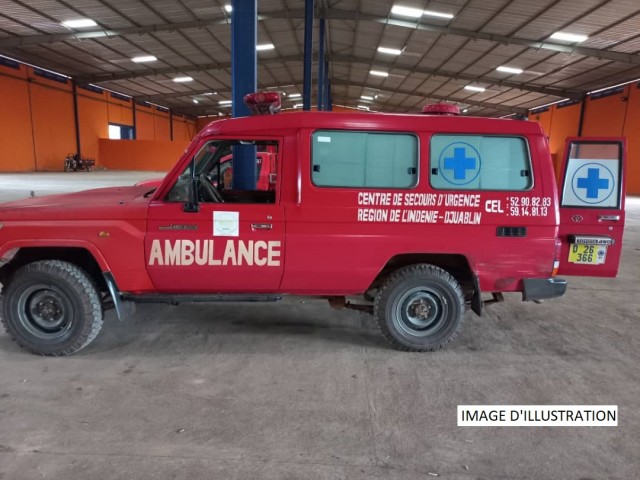 ABENGOUROU : LES POMPIERS CIVILS DELOGENT DES ABEILLES QUI S’ATTAQUENT AUX ELEVES