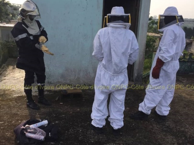 ABOISSO : UN ESSAIM D’ABEILLES DELOGE D’UNE MOSQUEE PAR LES POMPIERS CIVILS A BABADOUGOU