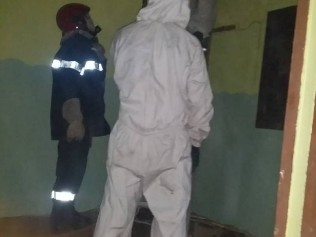 TOUMODI : DES ABEILLES INVESTISSENT UN APPARTEMENT LES POMPIERS CIVILS LES DELOGENT